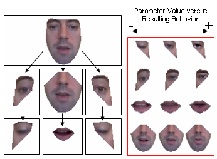 Facial Dynamics